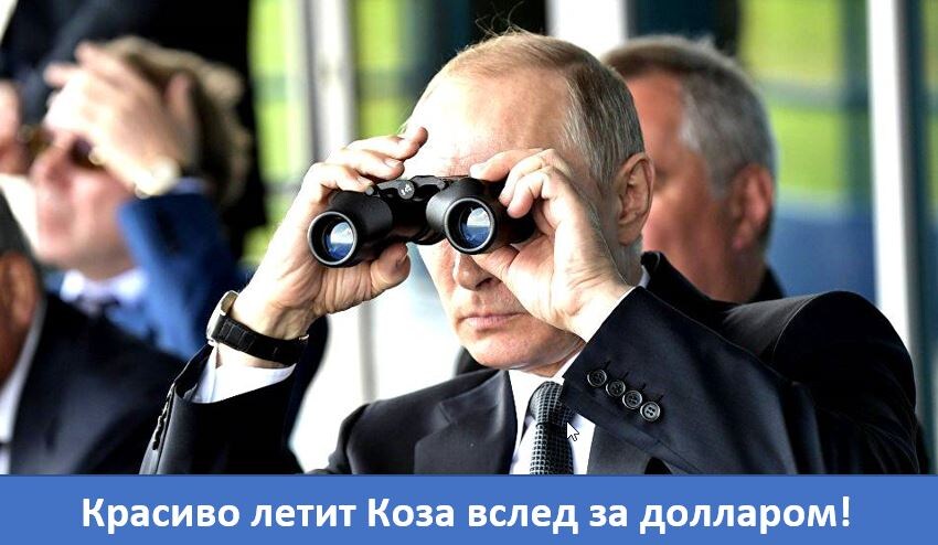 https://static.dzeninfra.ru/s3/zen-apps/content/1.250.3/r9PxQ/Mq2o32K99d0105cmOe9JnIIkI55N5PVaVJ16vmglApRYpYG4HZtIAtG84hmopUqhAfHK0Rd36q3583DrDbb94sk9VoqwBlxSh3IlHF0ThH6cZRbGR0L5aB4tOZ9EQyLeXApNykScKArDfCEjNIw4c9l9EybiNv1JkdxBqDOd5wcIiUItX06Oy6GtRGzYq95kUKcUxNS5DY0FR93WgKBwWtvHc5MiYU8V0QQcDl0sD5OKfSg6BkYaKJe