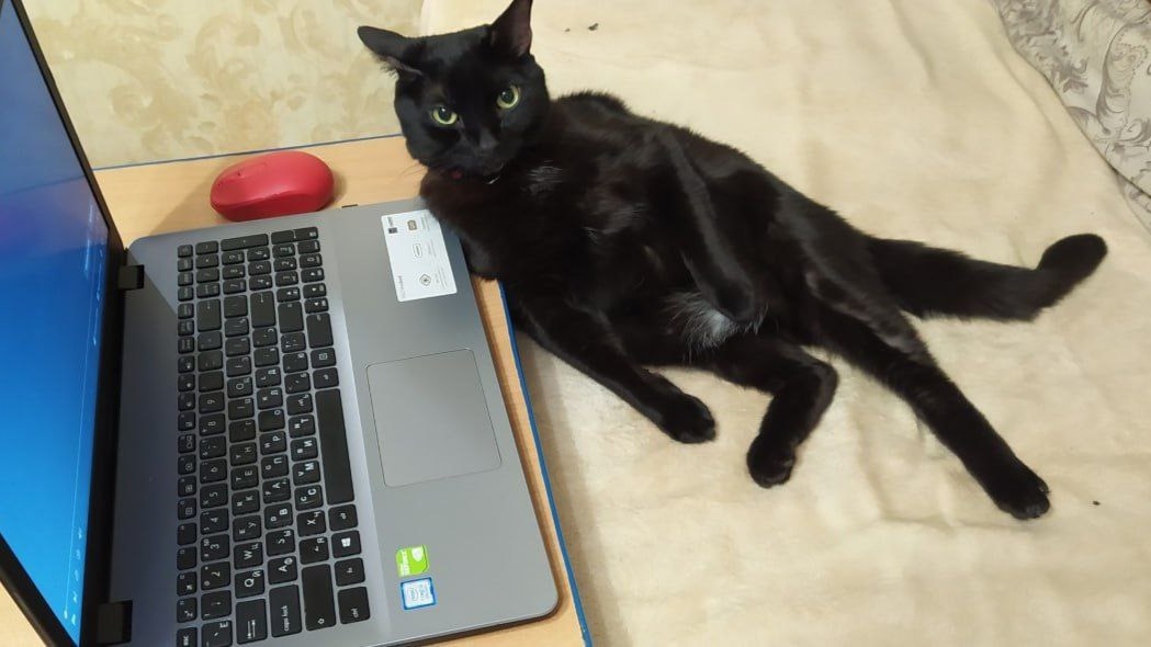 ÐÑÐ¾Ð²ÐµÑÐ¸Ð» - Ð²ÑÐµ ÑÐ¸ÑÑÐ¾! ÐÐ¸ÑÑÑÐ¾Ð² Ð½Ðµ Ð¾Ð±Ð½Ð°ÑÑÐ¶ÐµÐ½Ð¾!