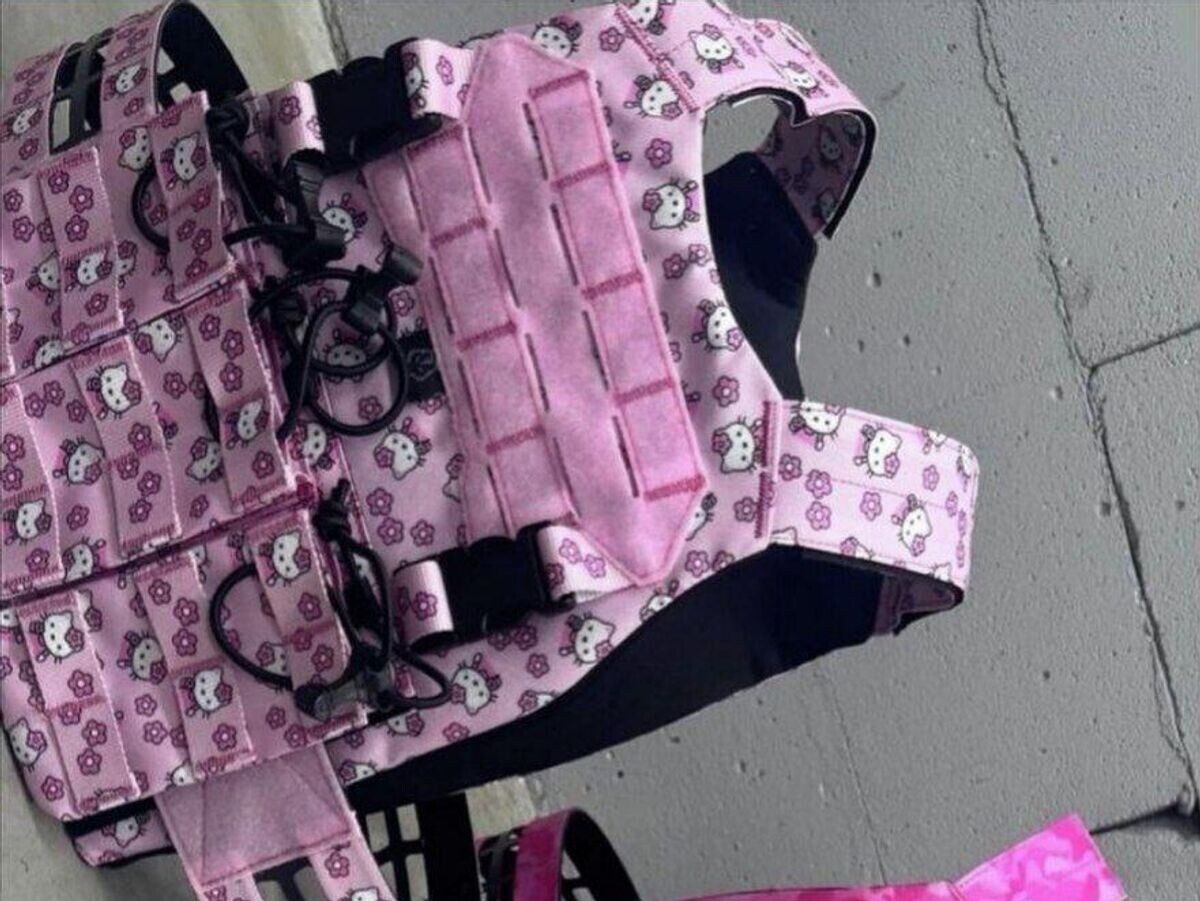    Розовая экипировка, продающаяся в военторгах Украины | © РИА Новости