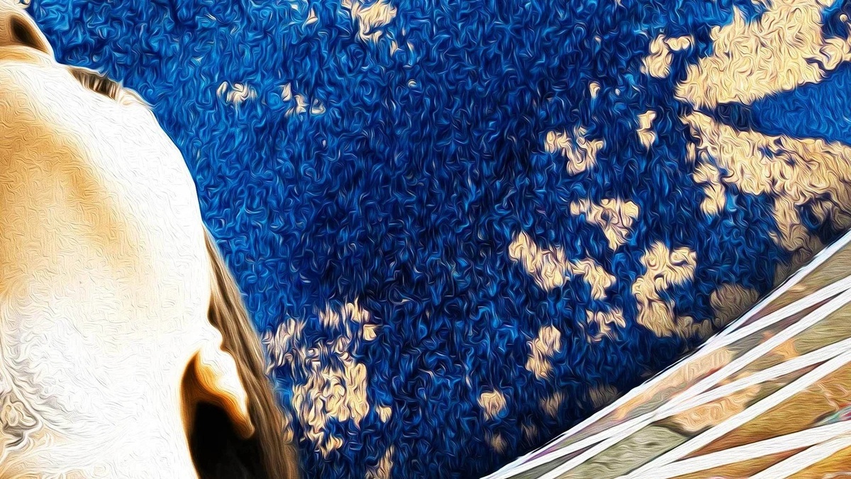 Shiraz. Chapter 7 - Такое кино