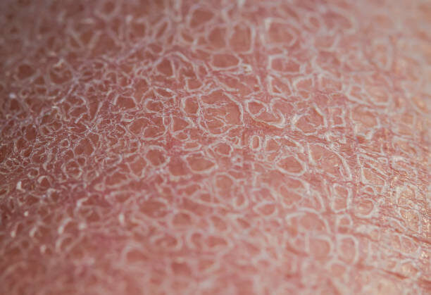 фото из открытого источника