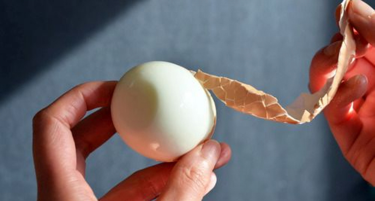 фото из открытого источника 