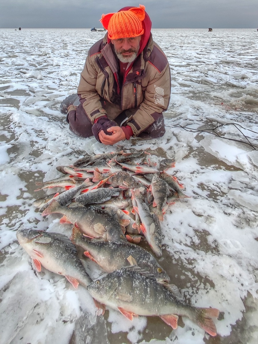 2pdy2K601affd0aG14WusJnEZhH61N576nH4yFlI