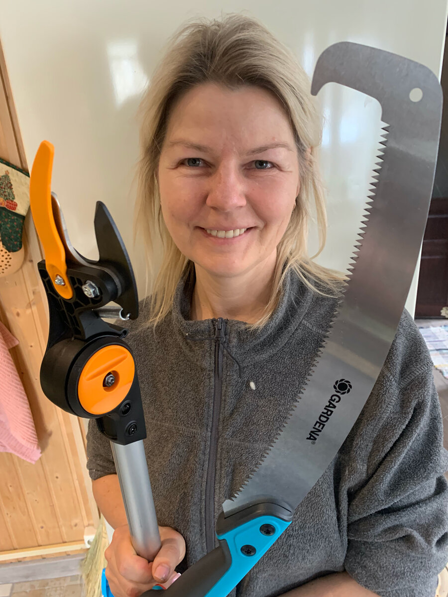 Инструменты, которыми я пользуюсь для обрезки плодового сада. Фото автора.