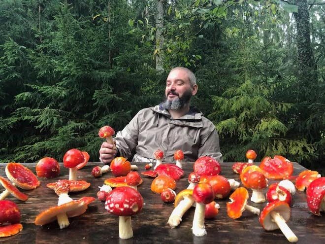 Грибы и человек